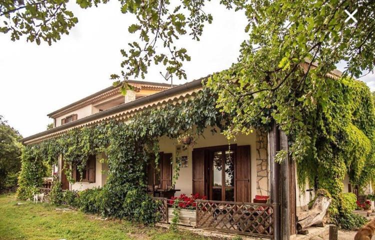 The Forest House Исерния Екстериор снимка